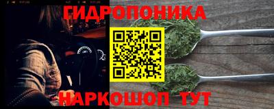 шишки Краснознаменск