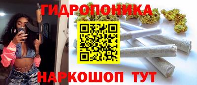 шишки Краснознаменск