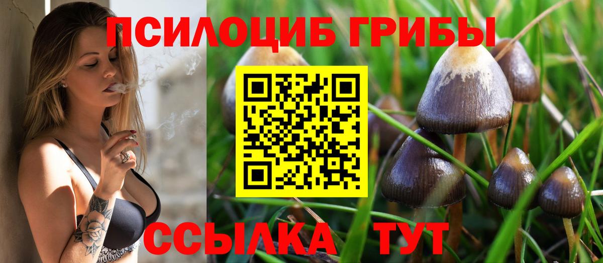 Галлюциногенные грибы Psilocybe  Галлюциногенные грибы мицелий  Казань  Вход с VPN 